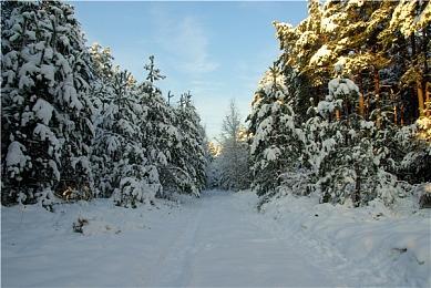 数字版游戏称雄 PSN销售总额已达1.83万亿日元