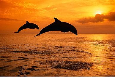 推出不到2年 《虚幻争霸：过载》即将于4月关服