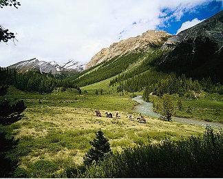 《莱莎的炼金工房》25周年纪念节目公开 支持中文同声传译