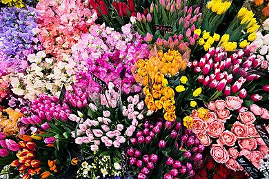 类银河战士恶魔城新作《地穴管理员》8＆27推出